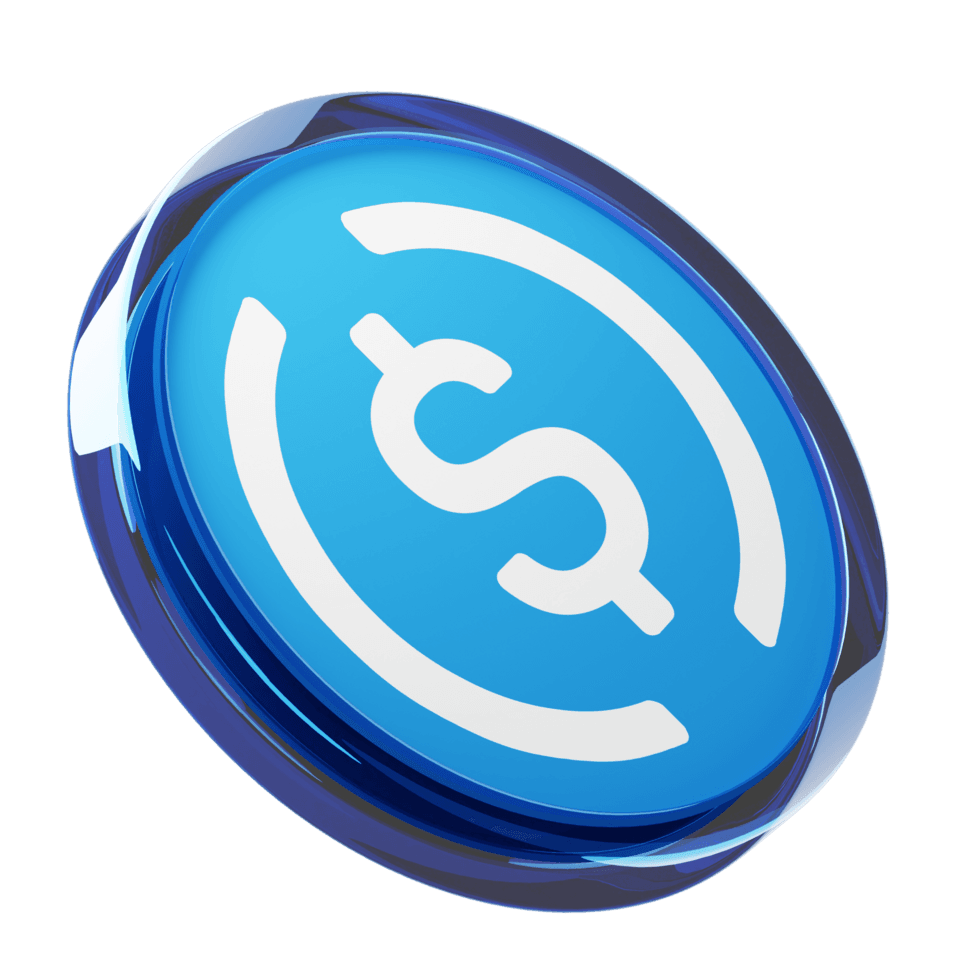 USDC Logo